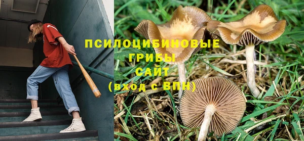 мескалин Верхнеуральск
