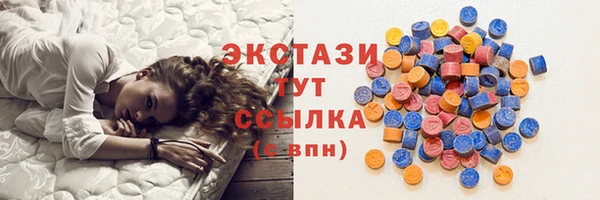 индика Верхний Тагил
