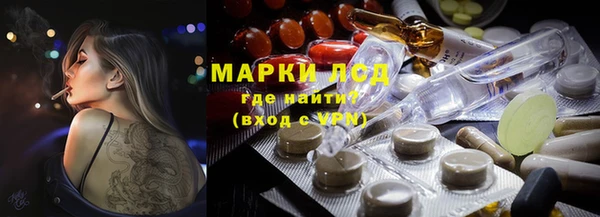 индика Верхний Тагил