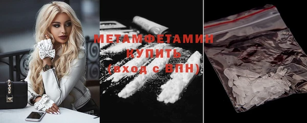 индика Верхний Тагил