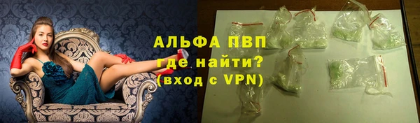 индика Верхний Тагил