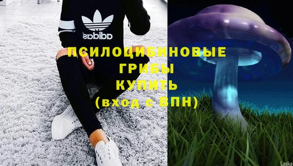 индика Верхний Тагил