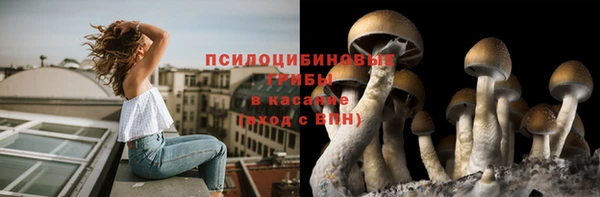 стафф Верея