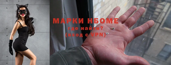 индика Верхний Тагил