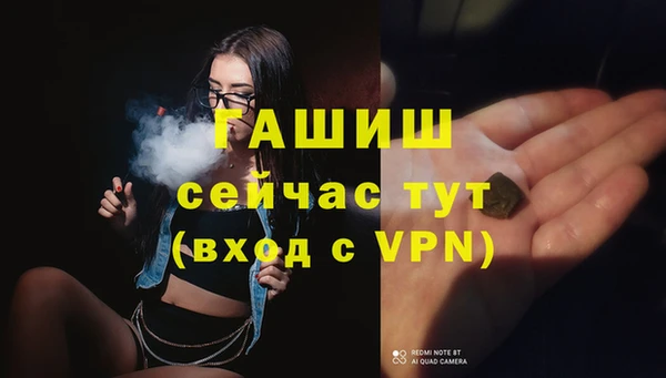 индика Верхний Тагил