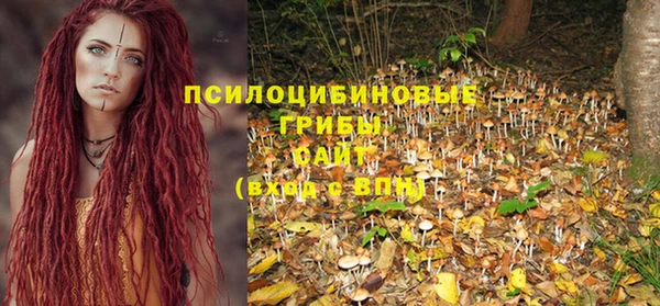 стафф Верея