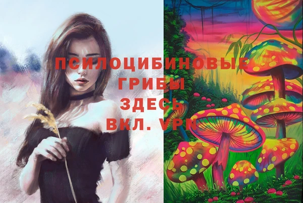 индика Верхний Тагил