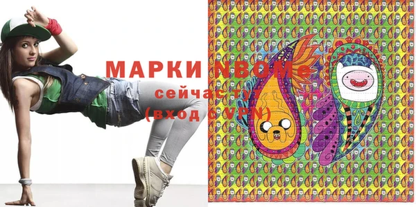 индика Верхний Тагил