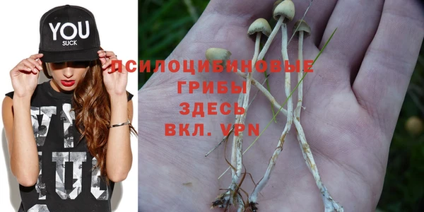 индика Верхний Тагил