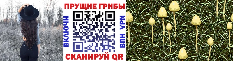Псилоцибиновые грибы ЛСД  kraken   Нариманов 