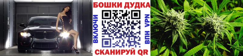 купить   Нариманов  Конопля MAZAR 